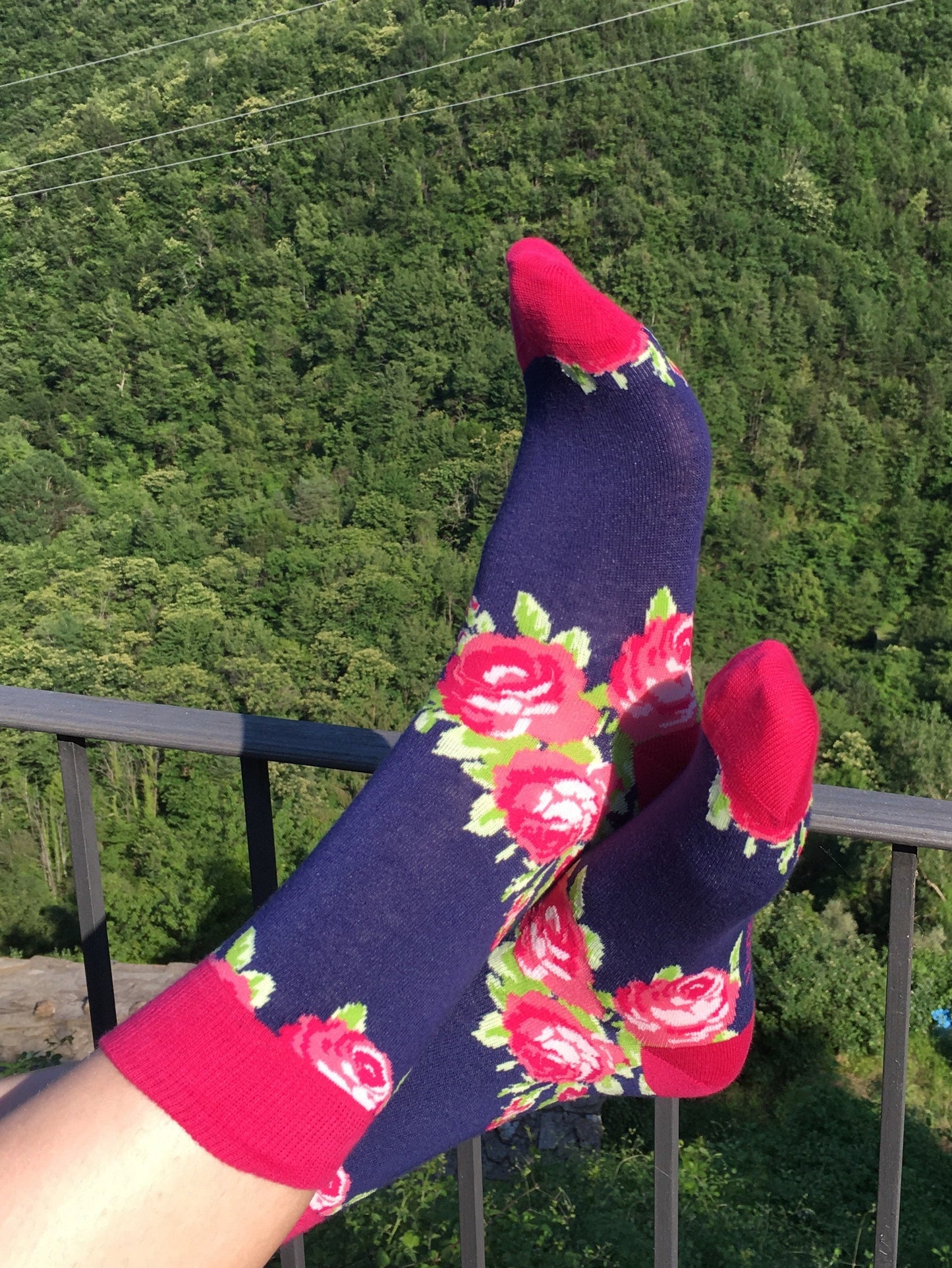 Buy Me Plain: Rambling Rose - socksupermarket