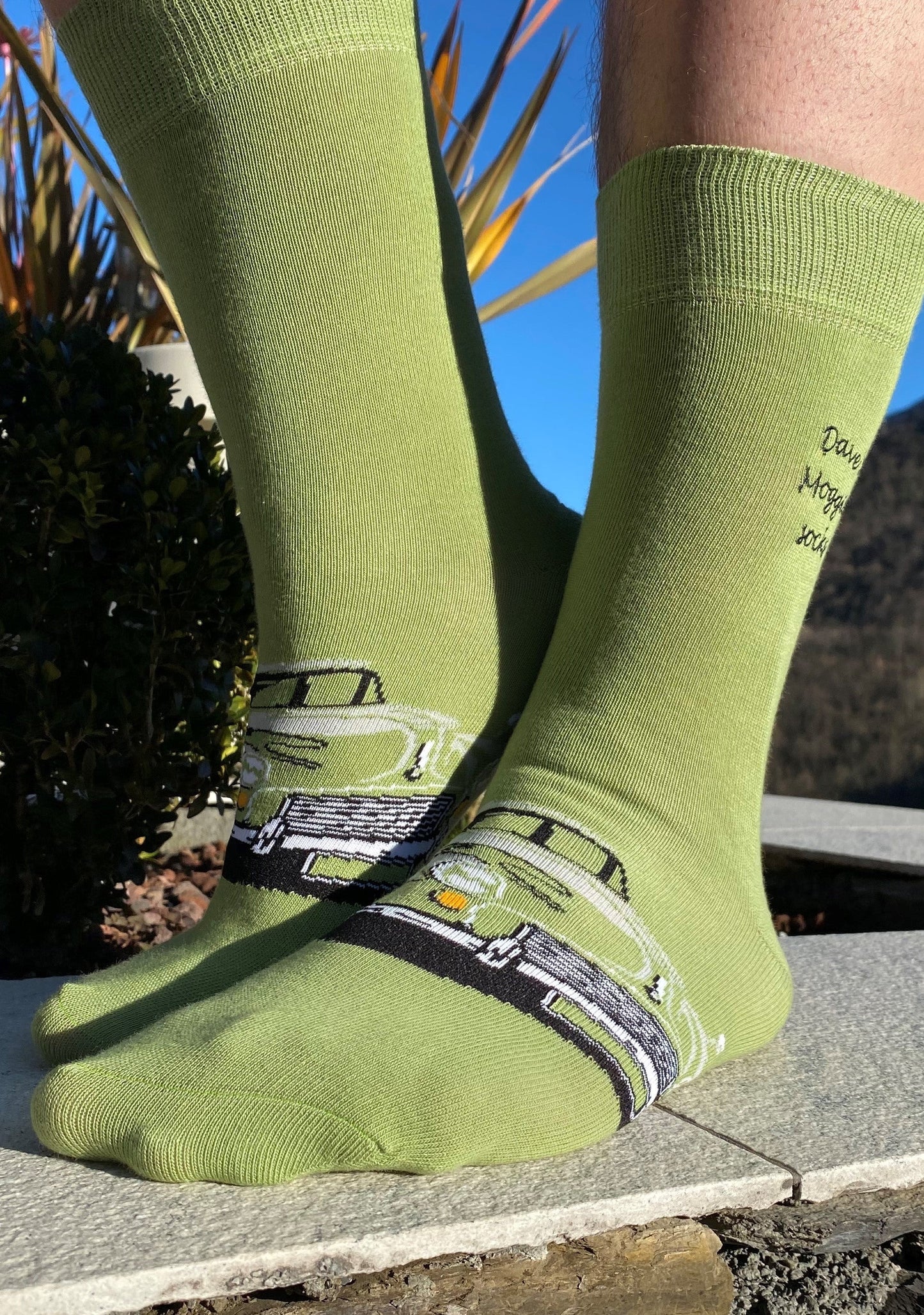 Buy Me Plain: Moggie Motor - socksupermarket